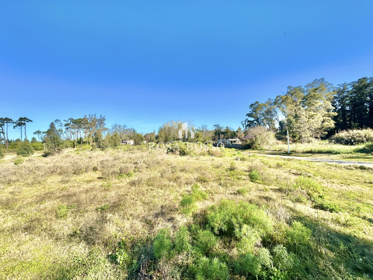 Terreno ID.9331 - Venta Terreno Punta del Este 