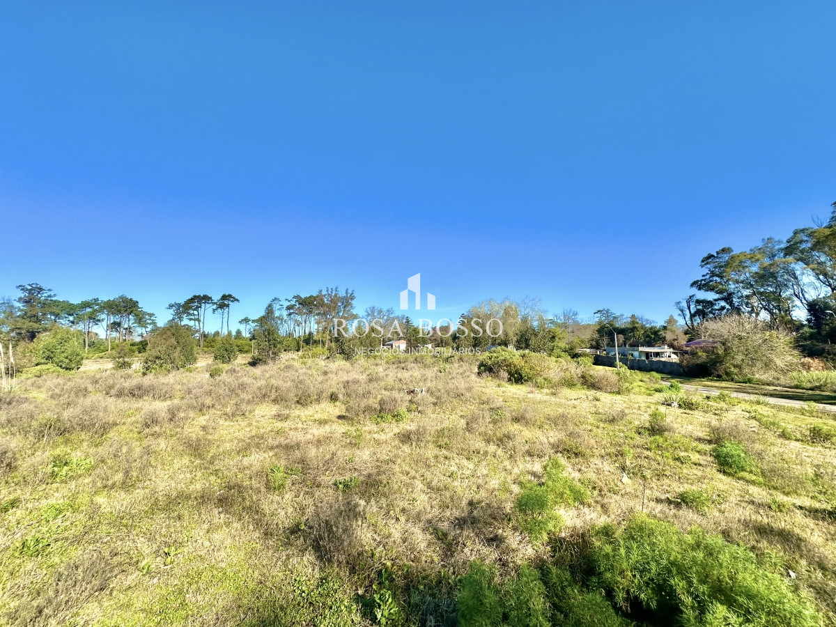Golf - GoPunta - Portal Inmobiliario de Punta del Este - Maldonado