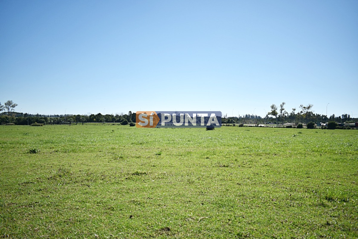 Chacra ID.4800 - CHACRA SAN CARLOS RUTA 9