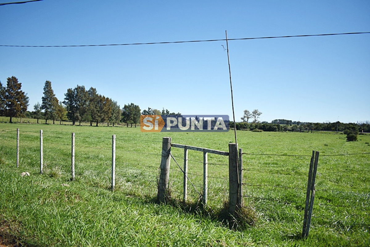 Chacra ID.4800 - CHACRA SAN CARLOS RUTA 9