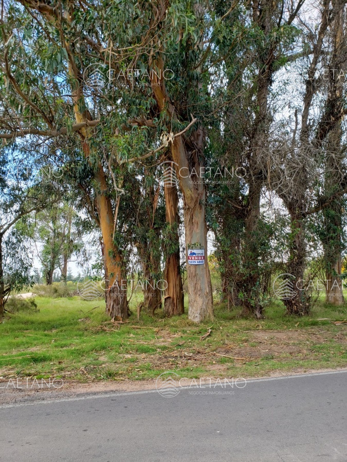 Propiedad - GoPunta - Portal Inmobiliario de Punta del Este - Maldonado