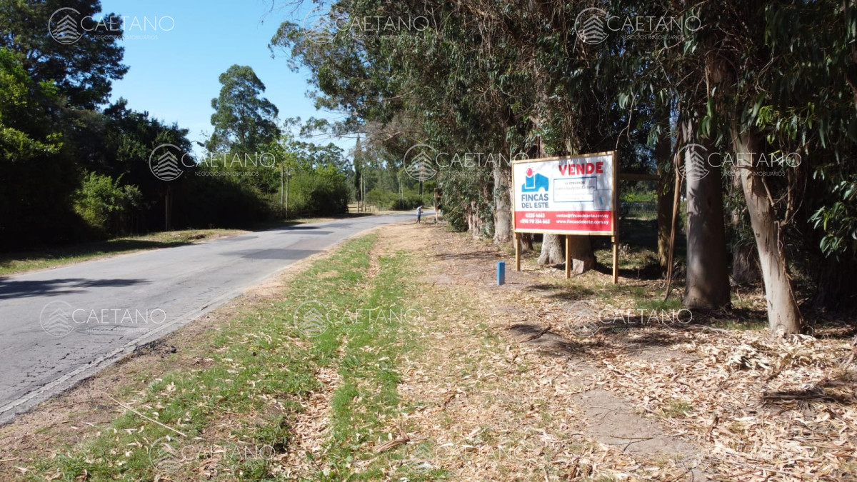 Propiedad - GoPunta - Portal Inmobiliario de Punta del Este - Maldonado