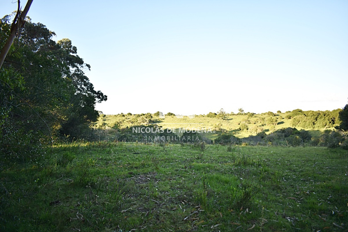 Chacra