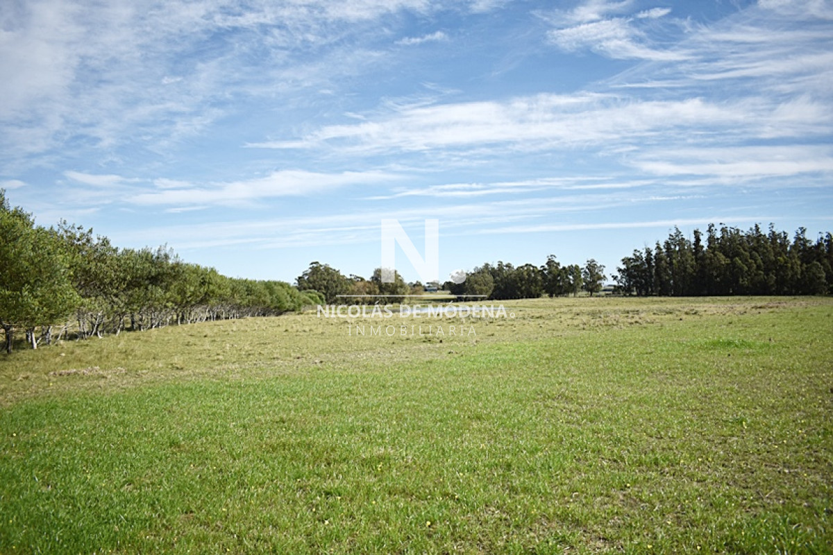 Chacra