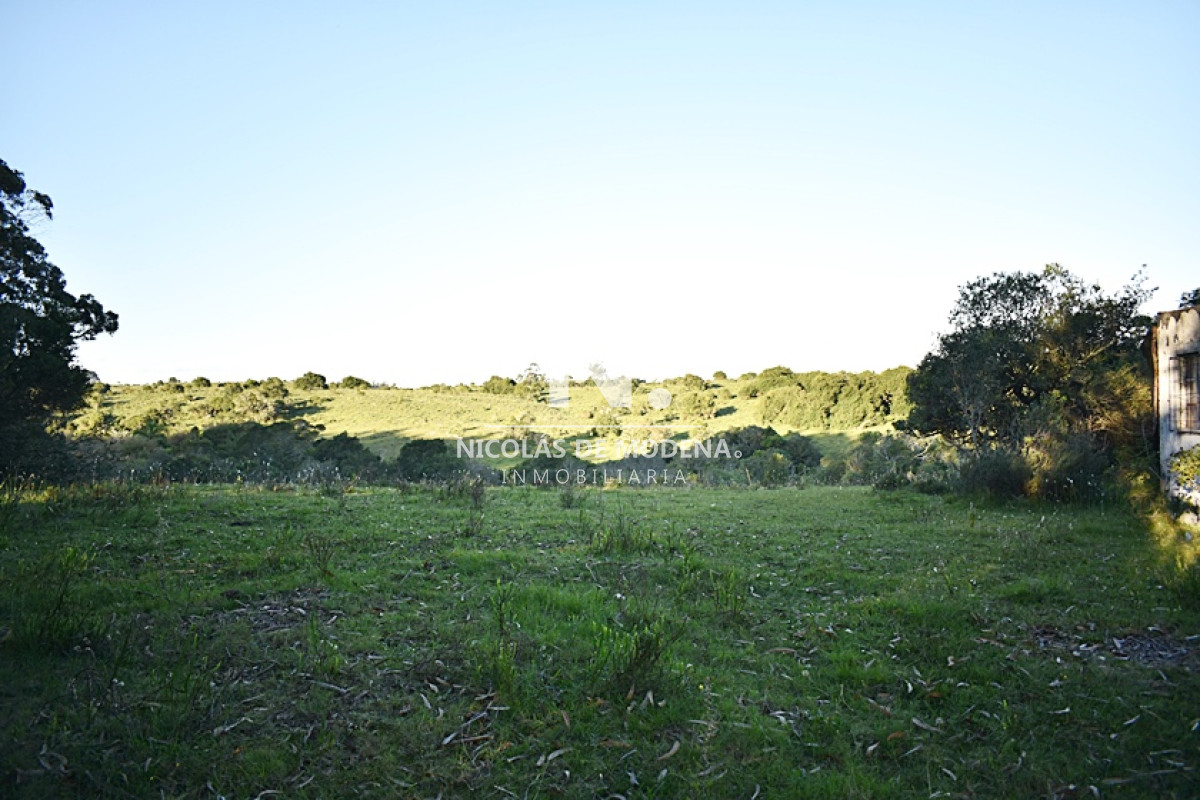 Chacra
