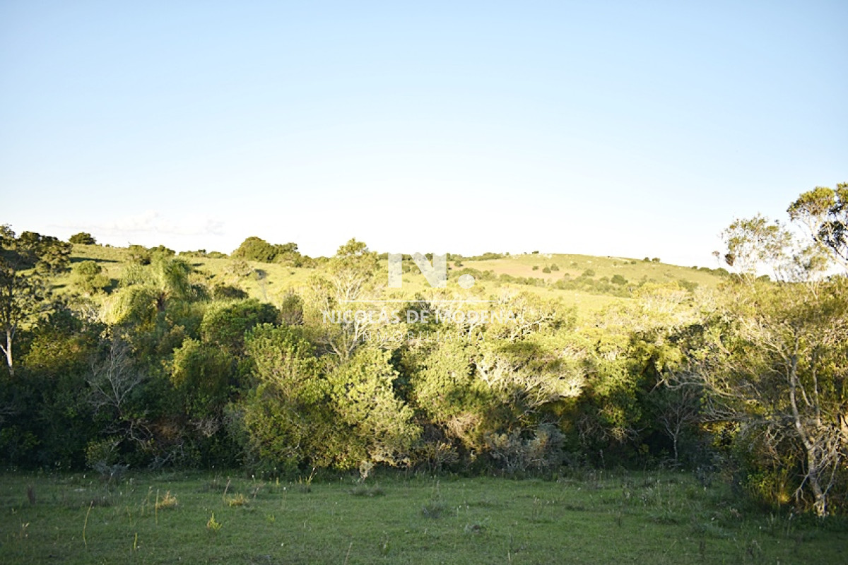 Chacra