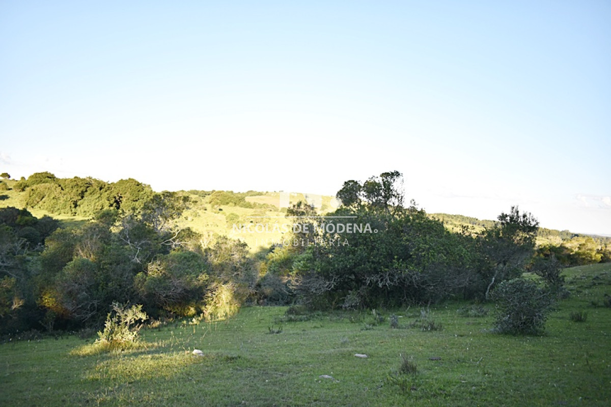 Chacra