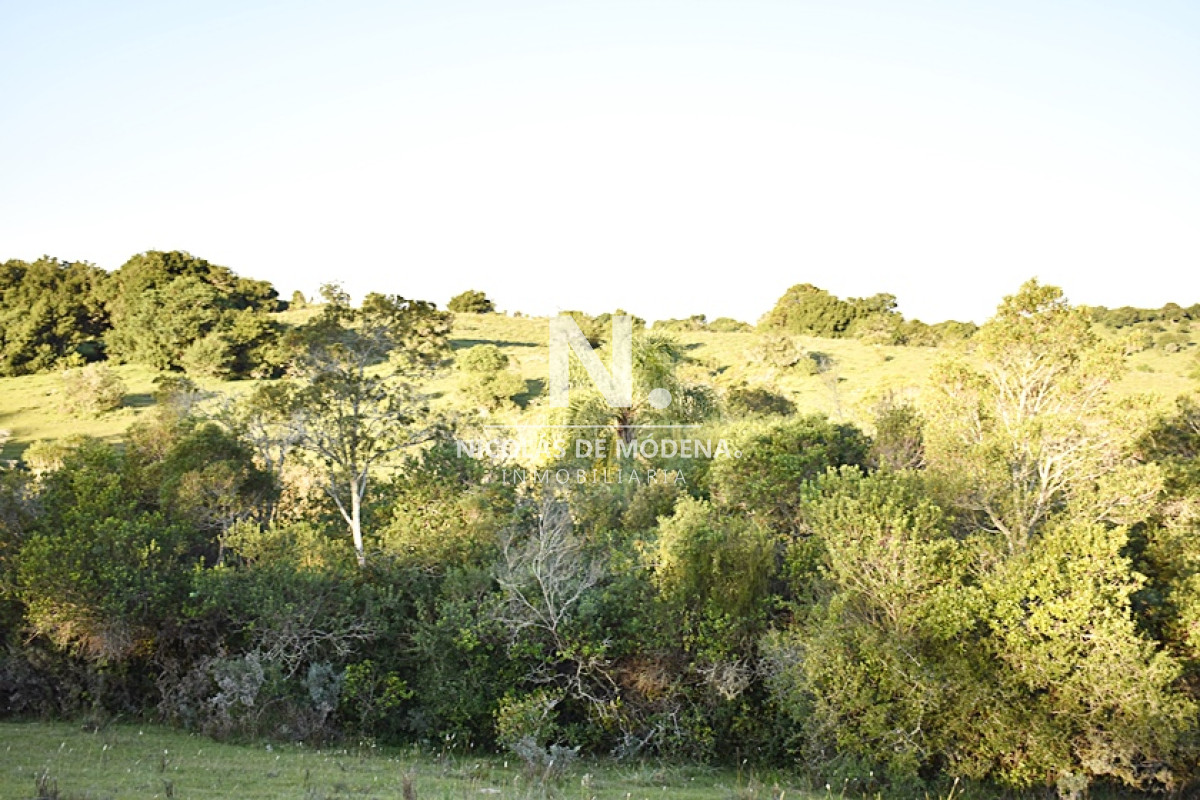 Chacra