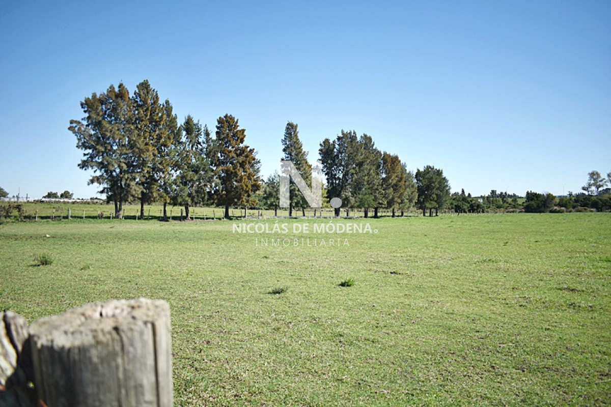 Chacra