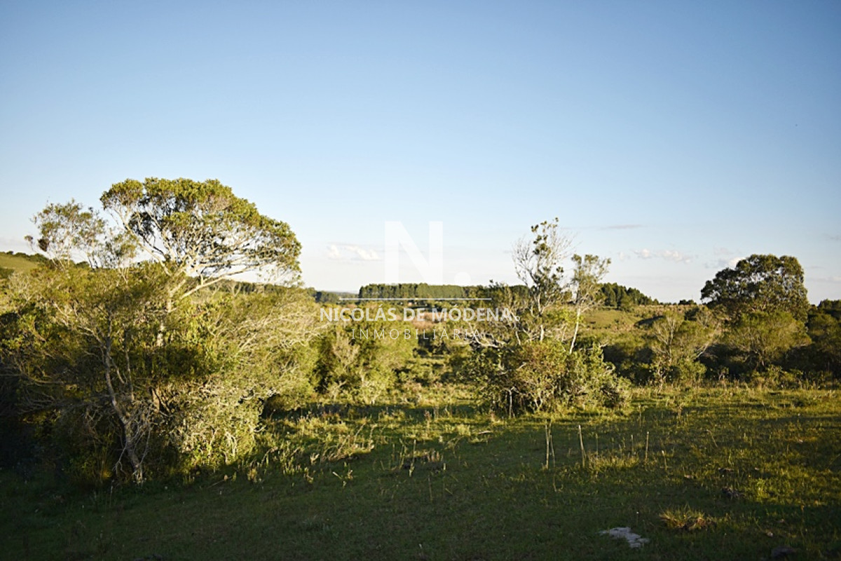 Chacra