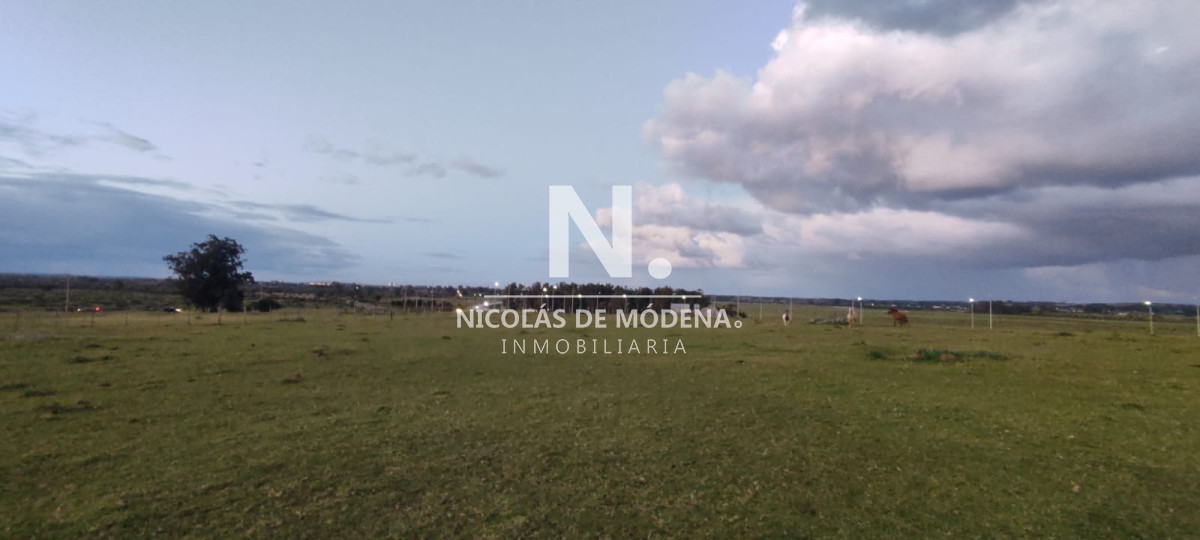 Chacra