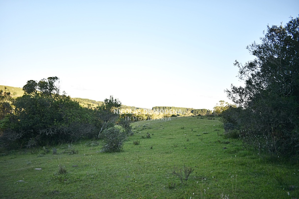 Chacra