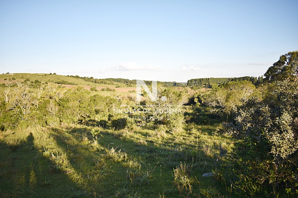 Chacra