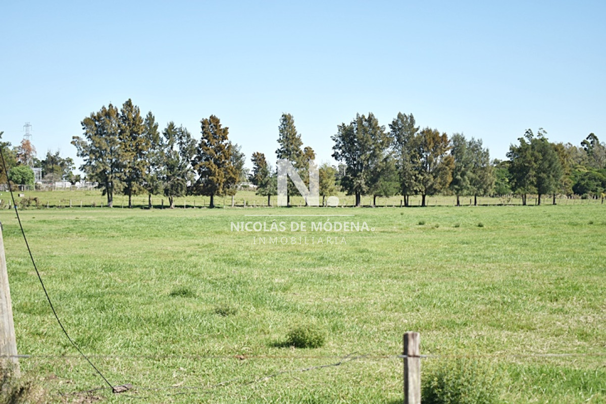 Chacra
