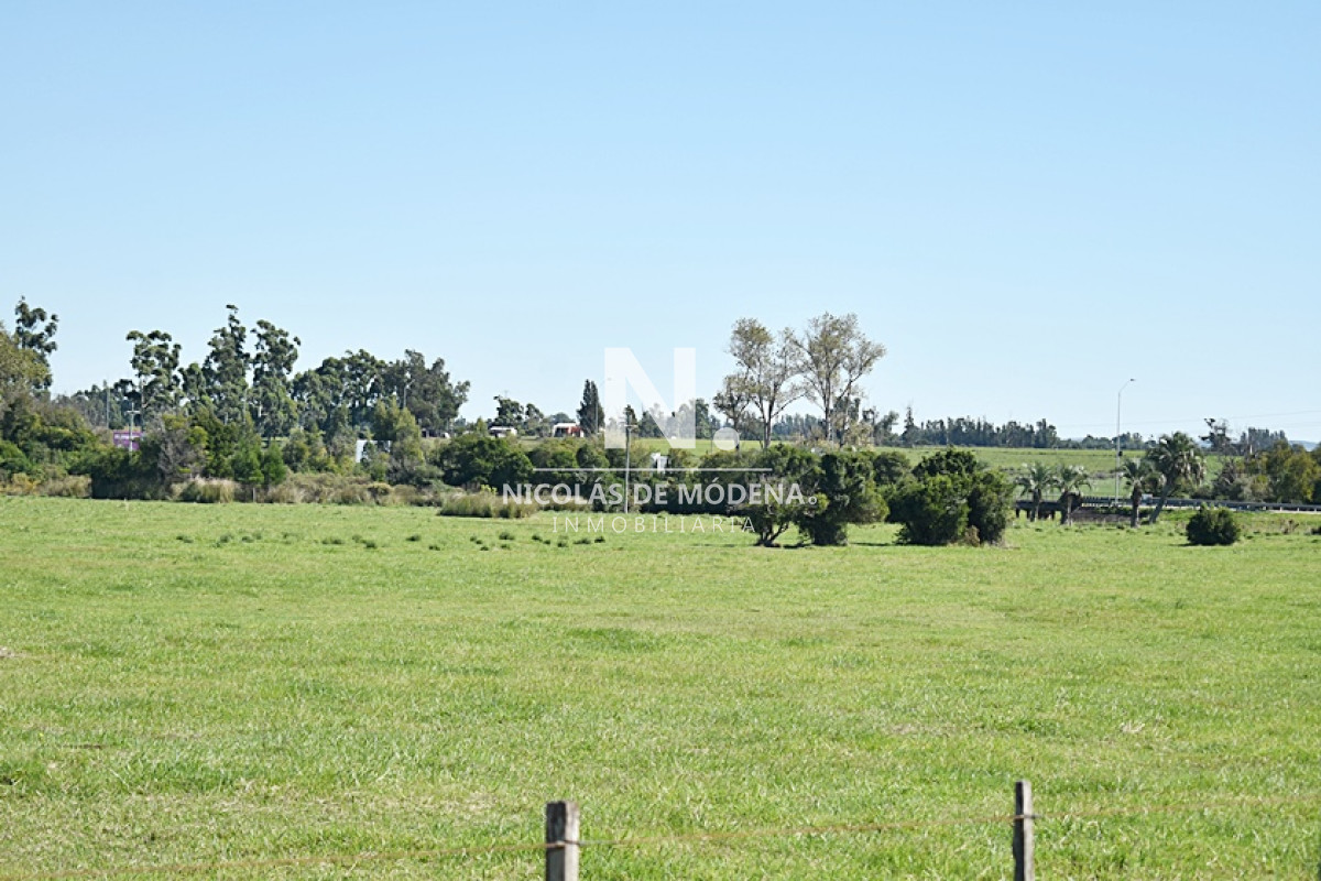 Chacra