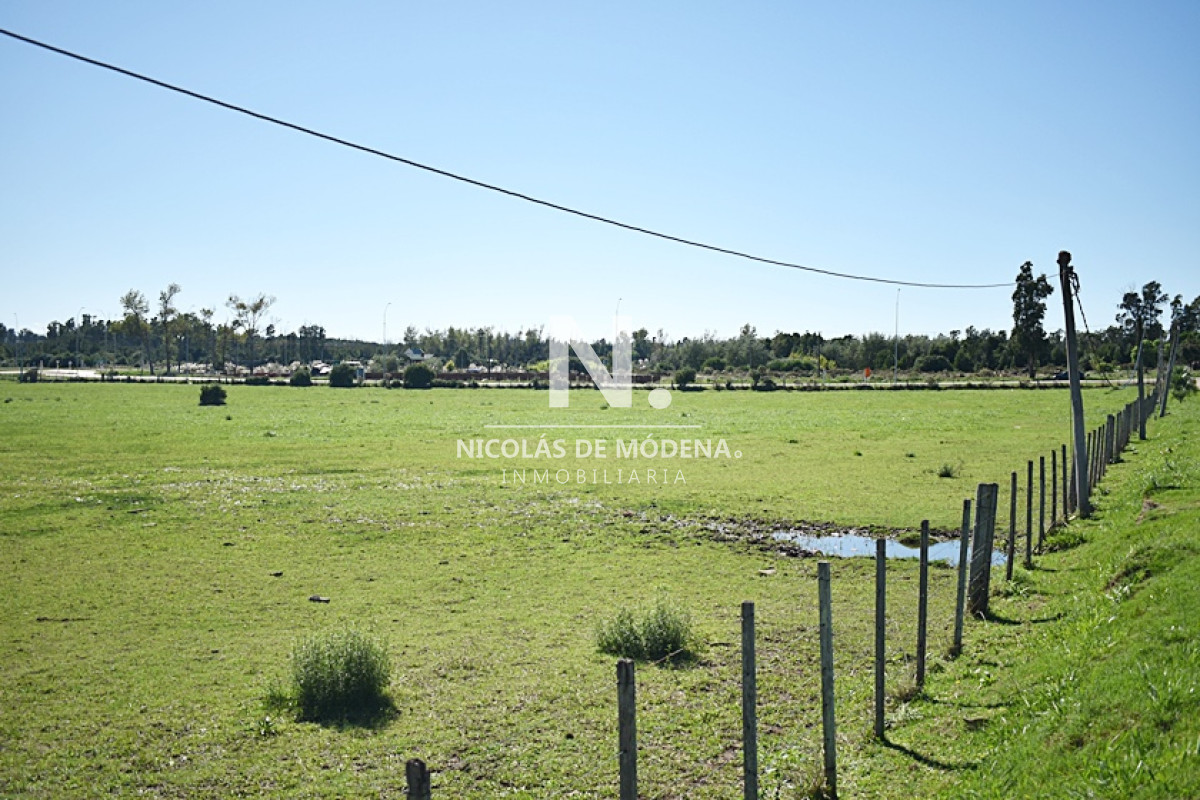 Chacra