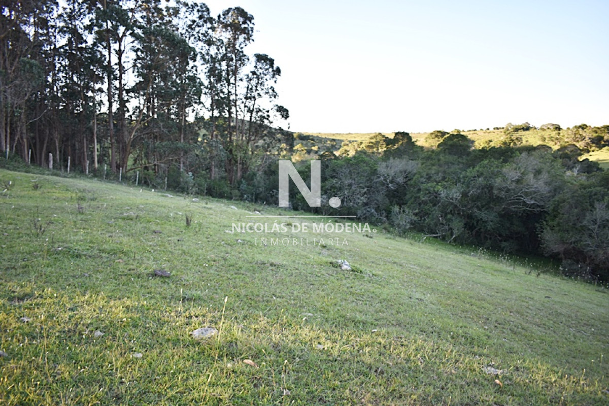 Chacra