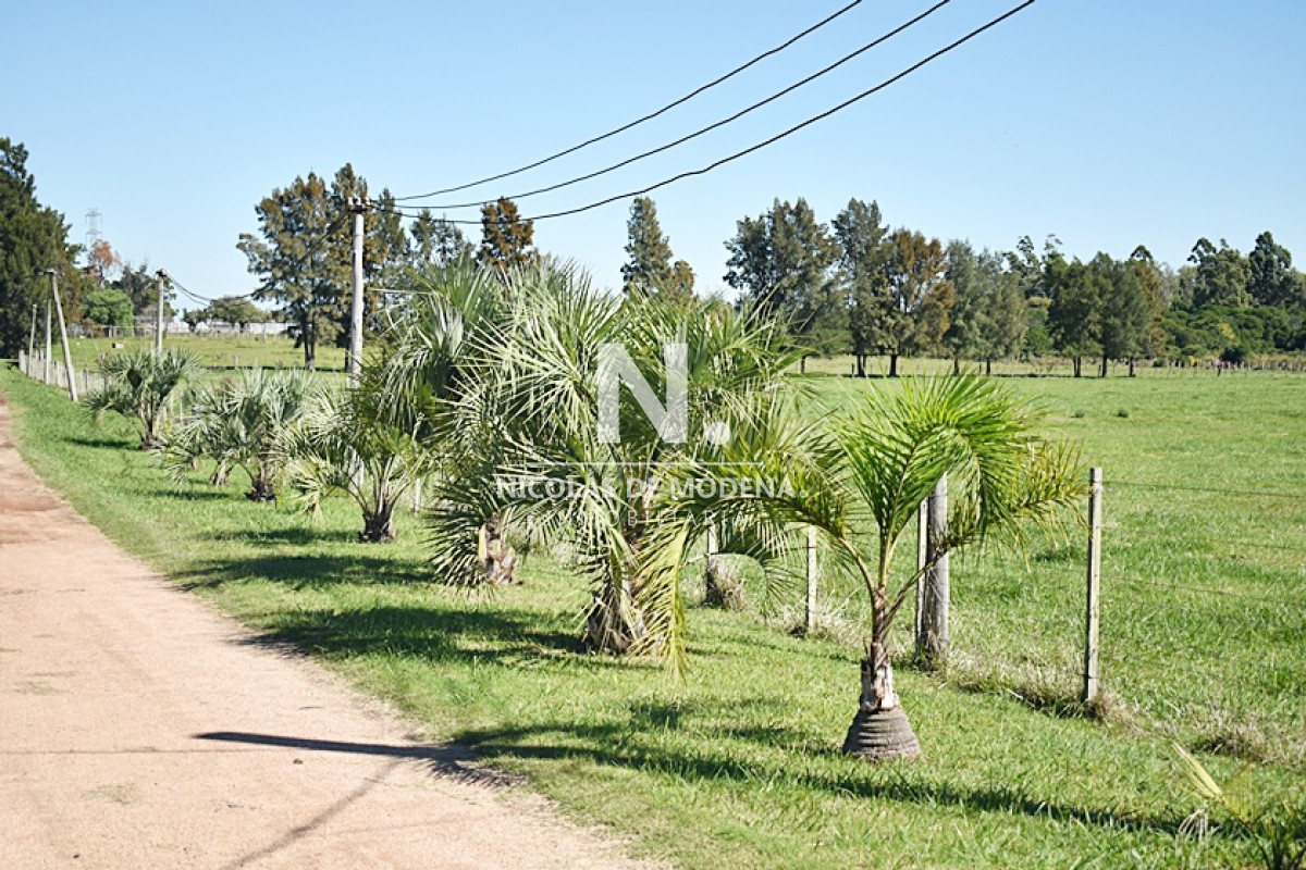 Chacra