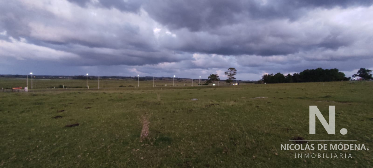 10191 101 - GoPunta - Portal Inmobiliario de Punta del Este - Maldonado