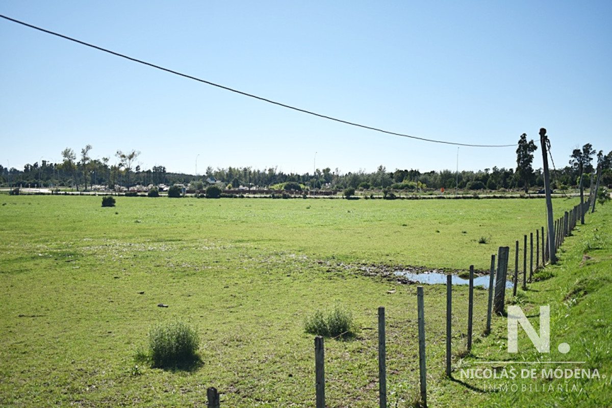 San Carlos - GoPunta - Portal Inmobiliario de Punta del Este - Maldonado