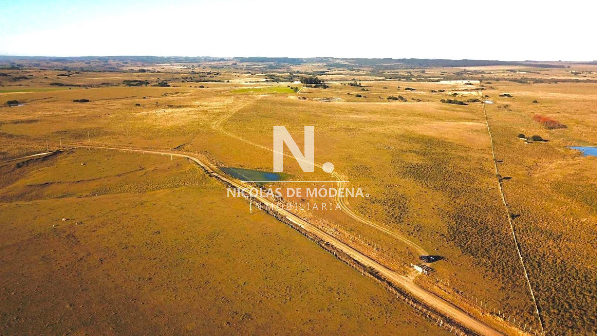 Campo