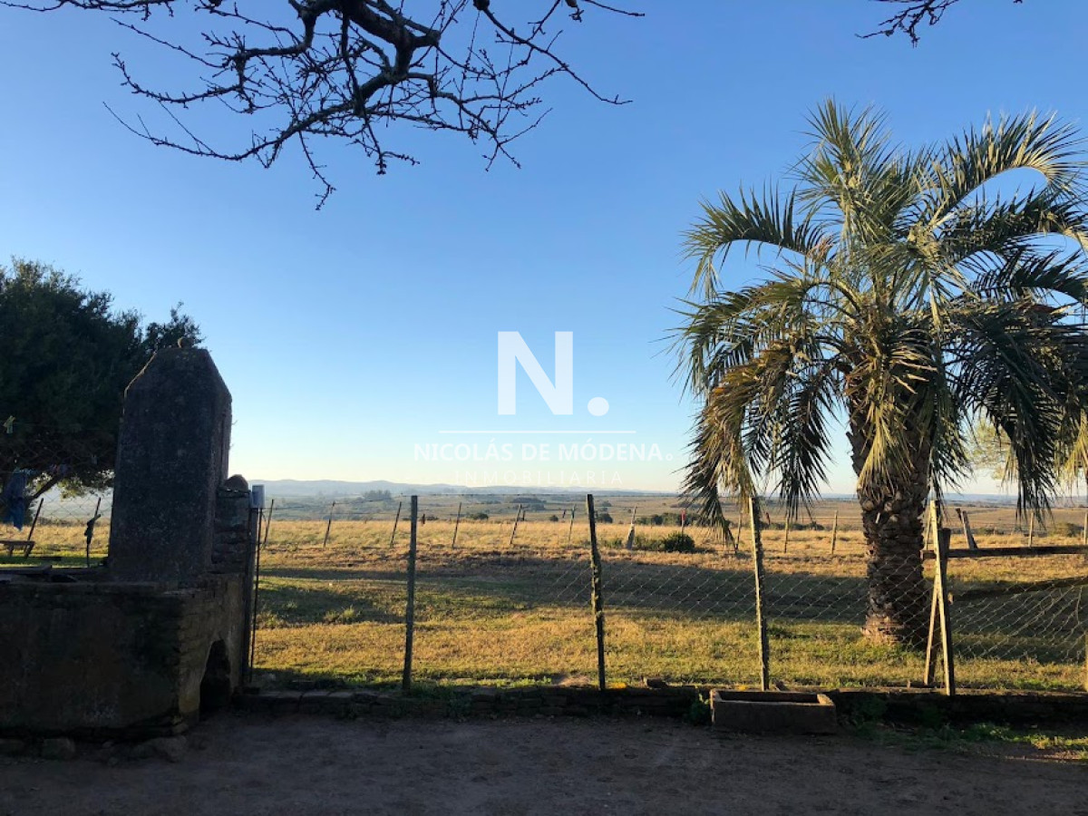 Campo