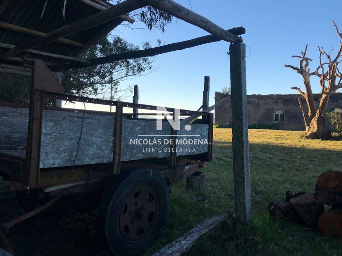 Campo