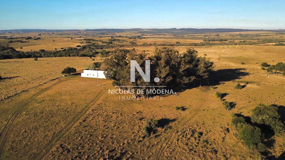 Campo