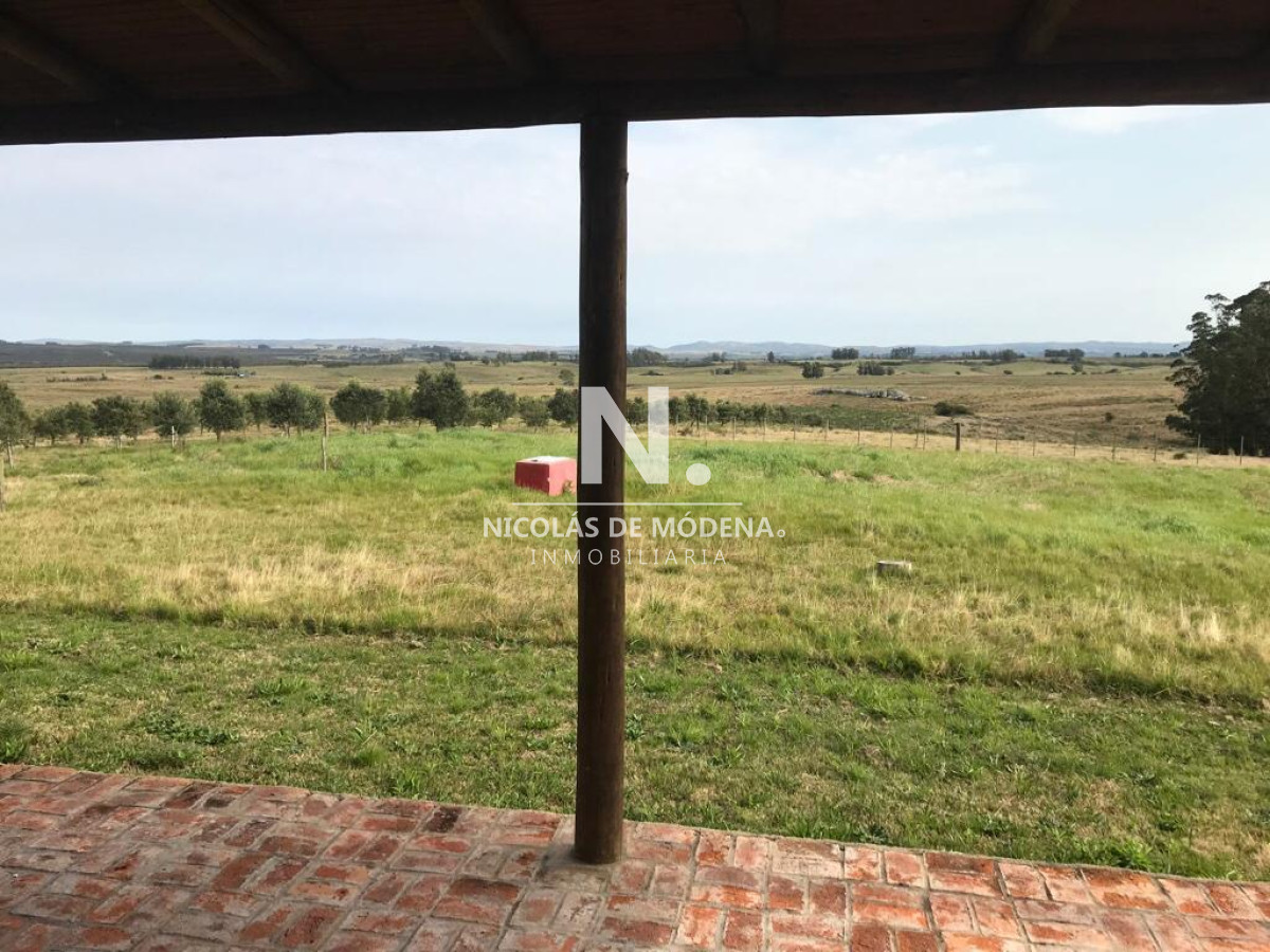 Campo