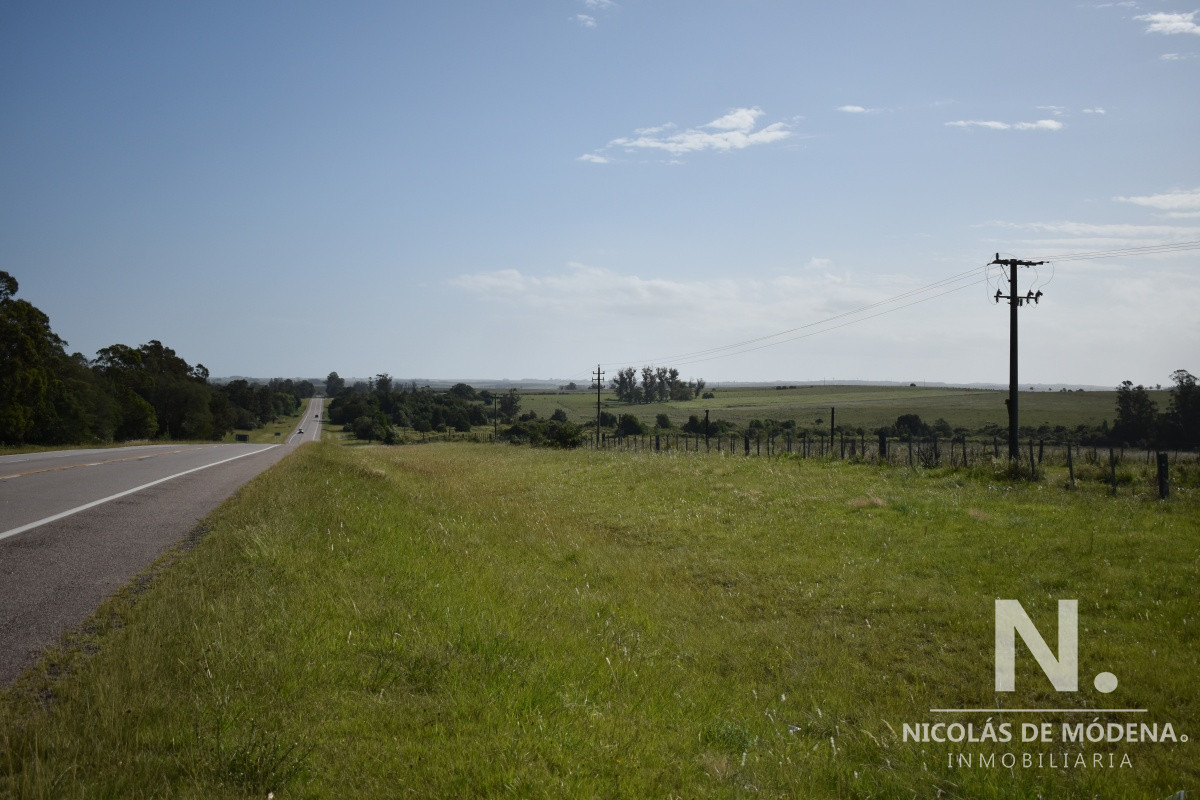 Campo Ruta 9  SAN CARLOS - GoPunta - Portal Inmobiliario de Punta del Este - Maldonado