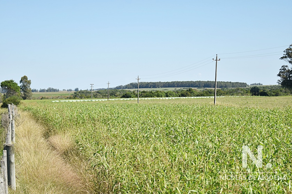36 ha. sobre ruta 9 - GoPunta - Portal Inmobiliario de Punta del Este - Maldonado
