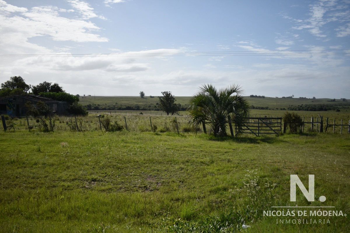 Campo Ruta 9  SAN CARLOS - GoPunta - Portal Inmobiliario de Punta del Este - Maldonado