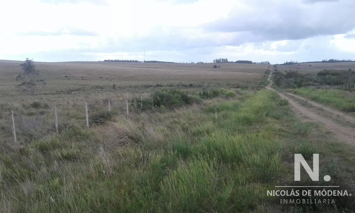Campo Ruta 9  SAN CARLOS - GoPunta - Portal Inmobiliario de Punta del Este - Maldonado