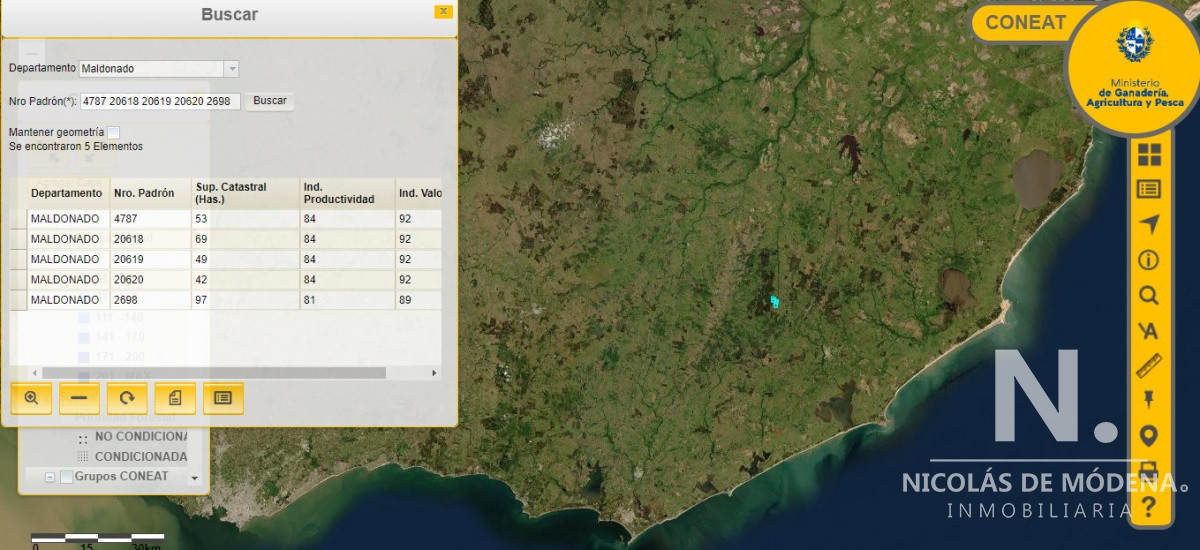 Campo Forestal en Maldonado - GoPunta - Portal Inmobiliario de Punta del Este - Maldonado