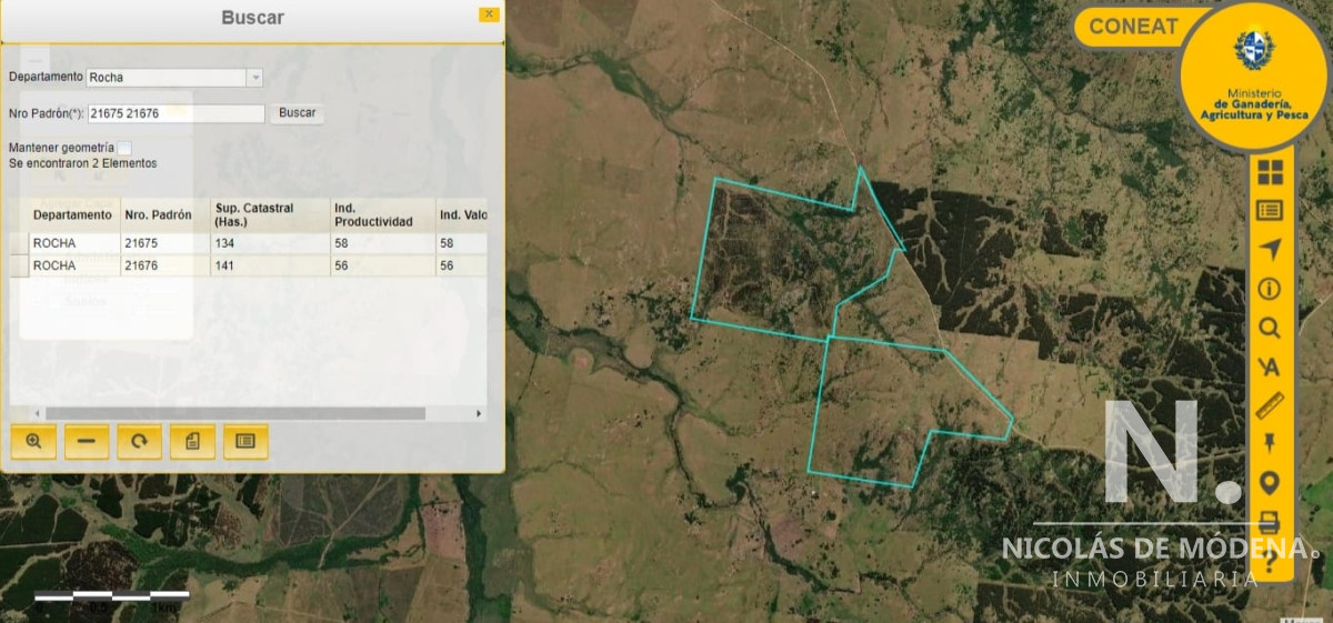Campo forestal en Rocha - GoPunta - Portal Inmobiliario de Punta del Este - Maldonado
