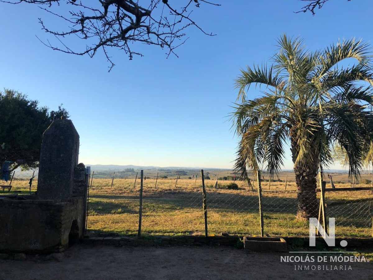 Campo en , - GoPunta - Portal Inmobiliario de Punta del Este - Maldonado