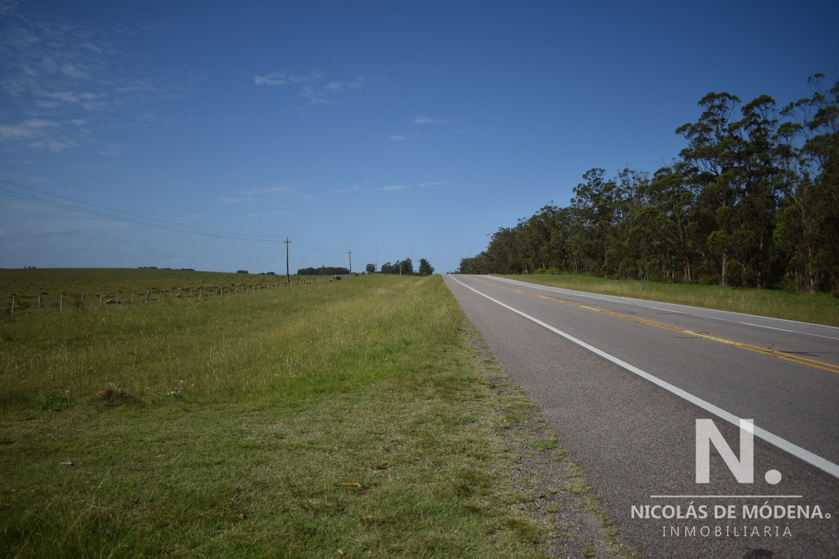 Campo Ruta 9  SAN CARLOS - GoPunta - Portal Inmobiliario de Punta del Este - Maldonado