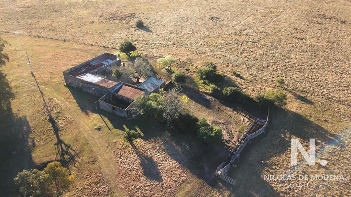 Campo en , - GoPunta - Portal Inmobiliario de Punta del Este - Maldonado