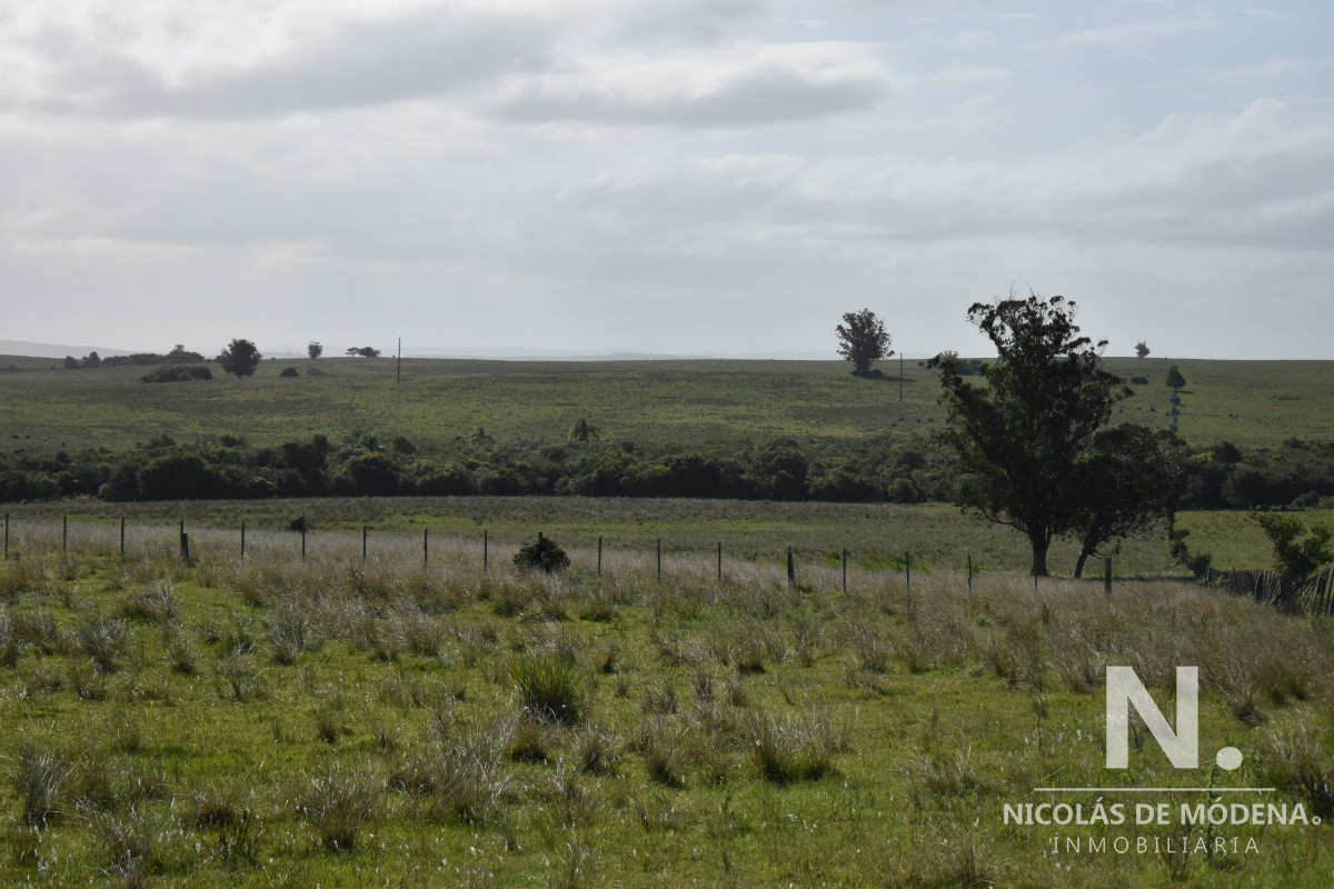 Campo Ruta 9  SAN CARLOS - GoPunta - Portal Inmobiliario de Punta del Este - Maldonado