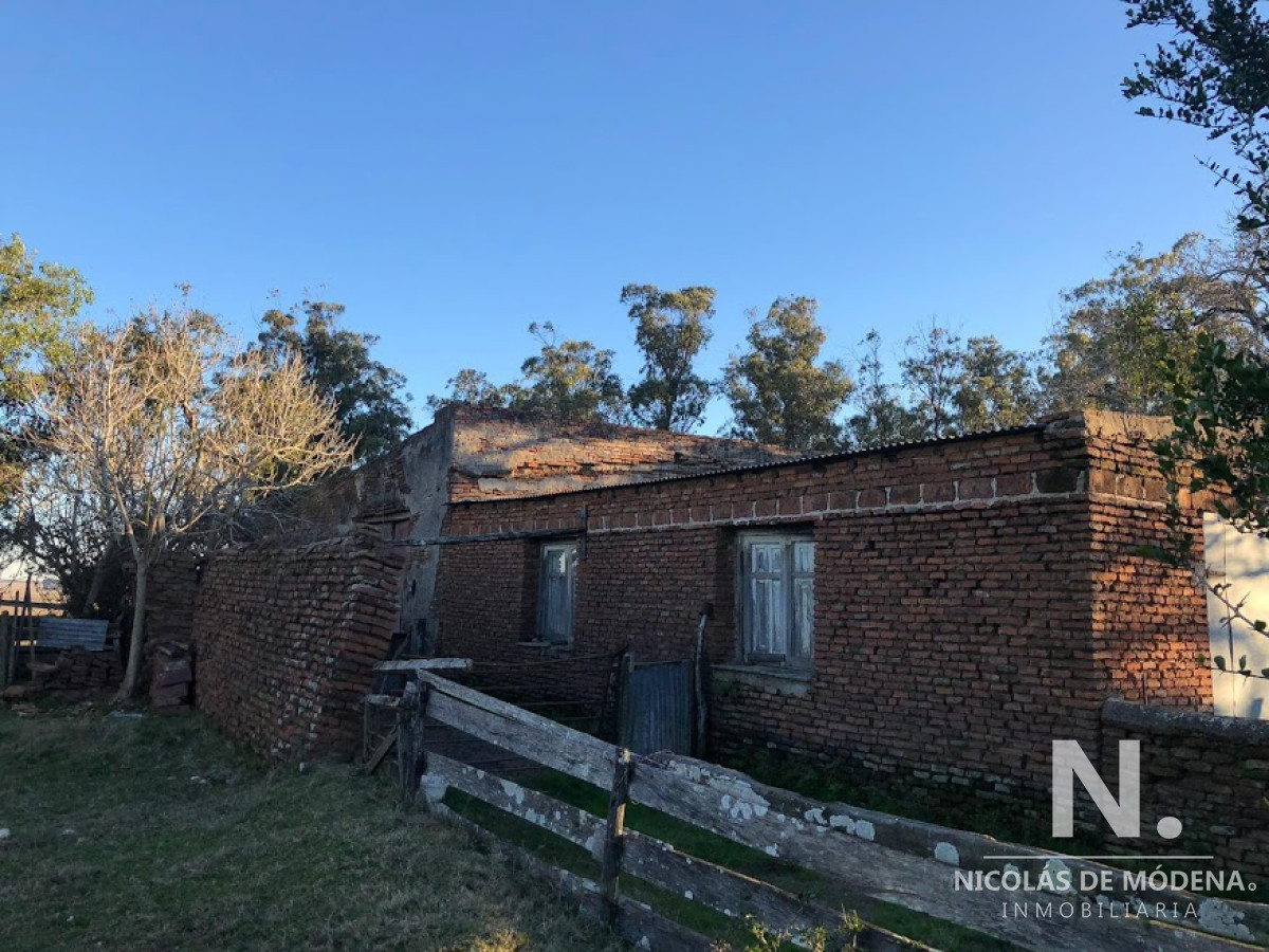 Campo en , - GoPunta - Portal Inmobiliario de Punta del Este - Maldonado