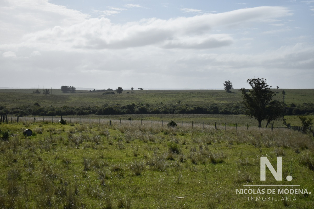 Campo Ruta 9  SAN CARLOS - GoPunta - Portal Inmobiliario de Punta del Este - Maldonado