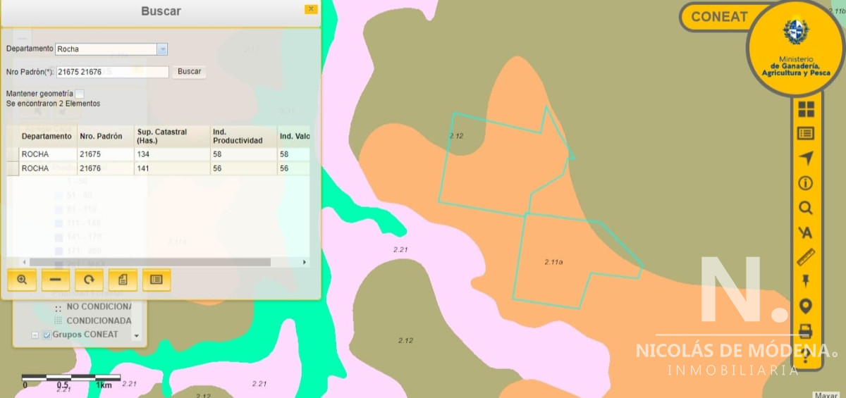 Campo forestal en Rocha - GoPunta - Portal Inmobiliario de Punta del Este - Maldonado