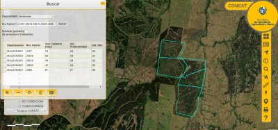 Campo Forestal en Maldonado