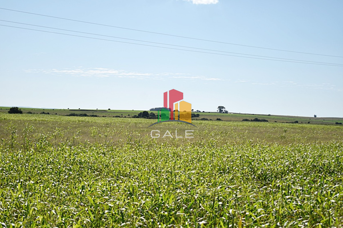 36 ha. sobre ruta 9 - GoPunta - Portal Inmobiliario de Punta del Este - Maldonado