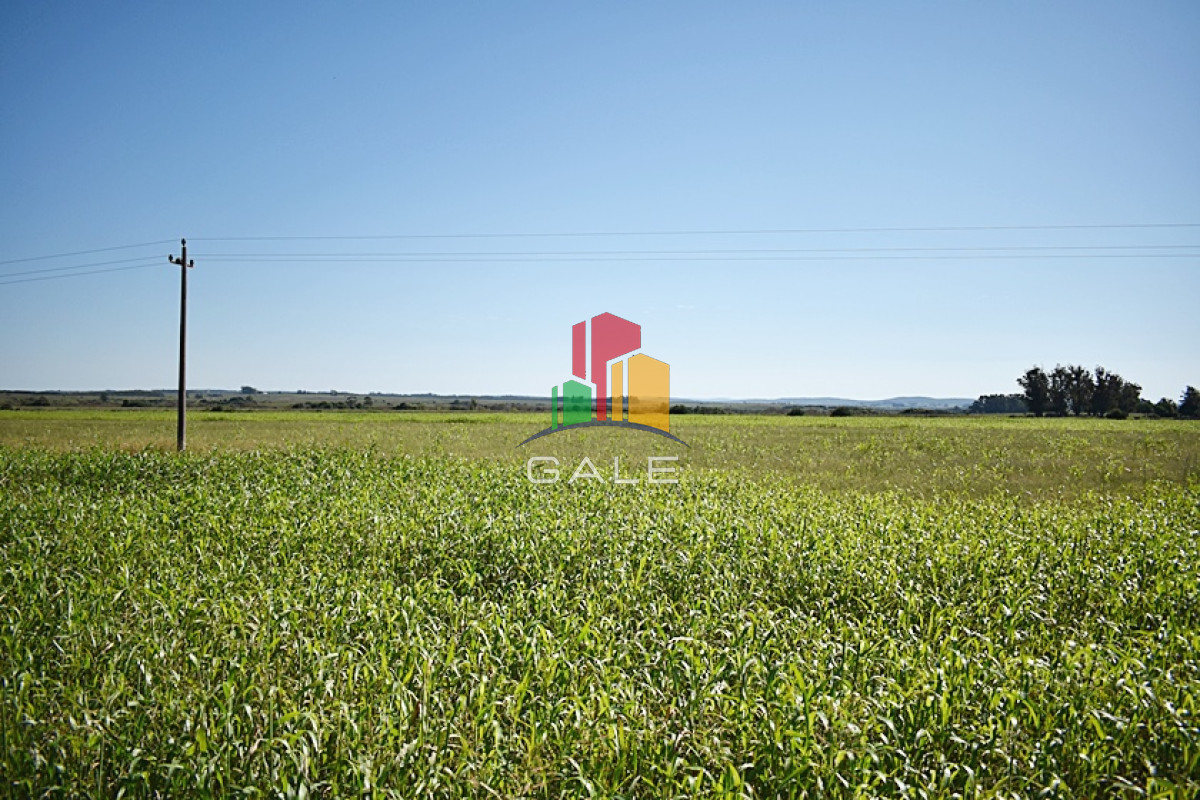 36 ha. sobre ruta 9 - GoPunta - Portal Inmobiliario de Punta del Este - Maldonado