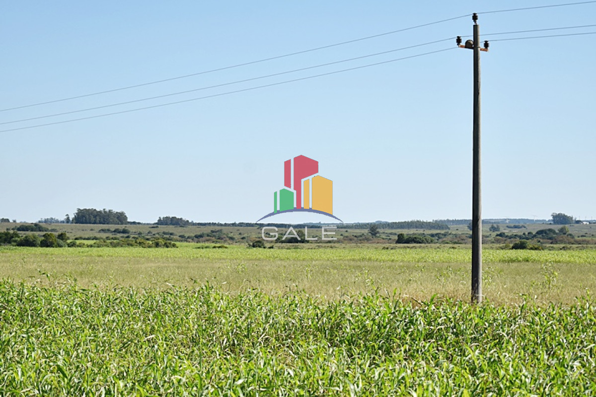 36 ha. sobre ruta 9 - GoPunta - Portal Inmobiliario de Punta del Este - Maldonado