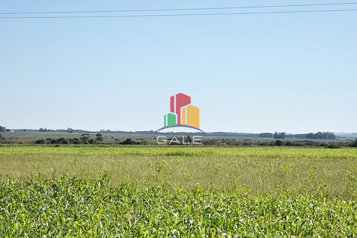 Campo Ref.76 - 36 ha. sobre ruta 9