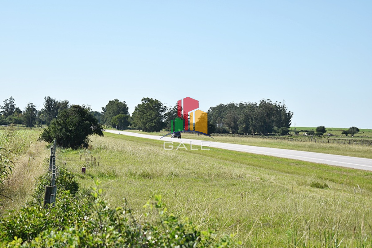 Campo Ref.76 - 36 ha. sobre ruta 9