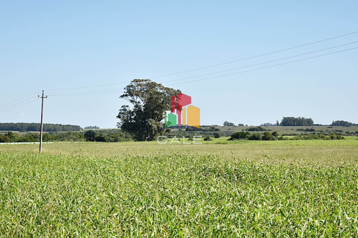 36 ha. sobre ruta 9 - GoPunta - Portal Inmobiliario de Punta del Este - Maldonado