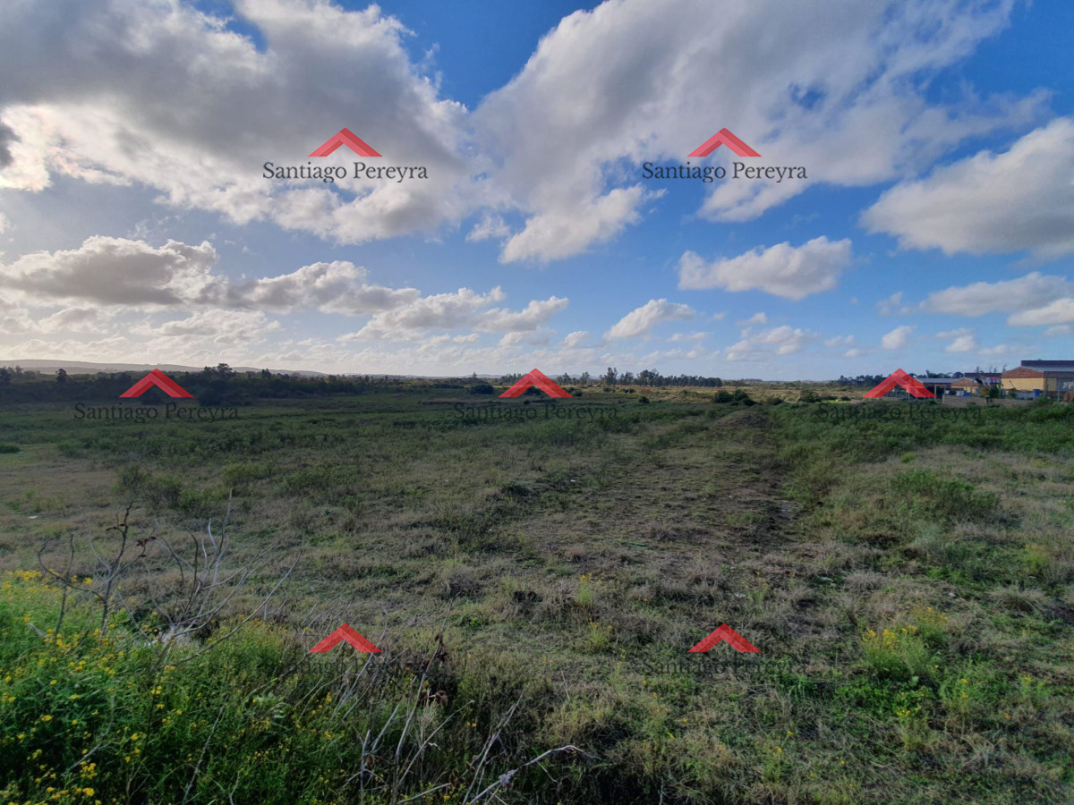 Terreno ID.12956 - Terreno en San Carlos